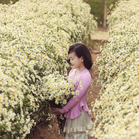 Giáo án Tin học 6 bài 21: Trình bày cô đọng bằng bảng (Tiếp theo)