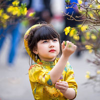 Giáo án Tin học 6: Bài tập (chương 4)