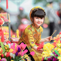 Giáo án Tin học 6: Bài thực hành 7: Em tập trình bày văn bản (Tiếp theo)