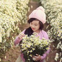 Giáo án Tin học 6: Bài tập (chương IV)