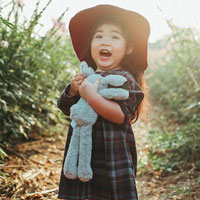 Giáo án Tin học 6: Bài thực hành tổng hợp: Du lịch ba miền