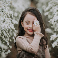 Giáo án Tin học 6: Bài thực hành tổng hợp: Du lịch ba miền (Tiếp theo)