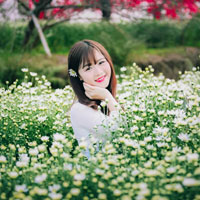 Giáo án Tin học 7: Bài thực hành 2: Làm quen với các dữ liệu trên trang tính