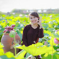 Giáo án Tin học 7: Ôn tập