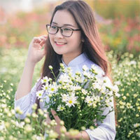 Soạn văn bài: Viết bài làm văn số 5 - Nghị luận văn học