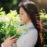 Soạn văn bài: Viết bài làm văn số 6 - Nghị luận văn học