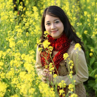 Đề thi học kì 1 lớp 7 môn tiếng Anh Phòng GD&ĐT Vĩnh Tường, Vĩnh Phúc năm học 2017-2018 có đáp án