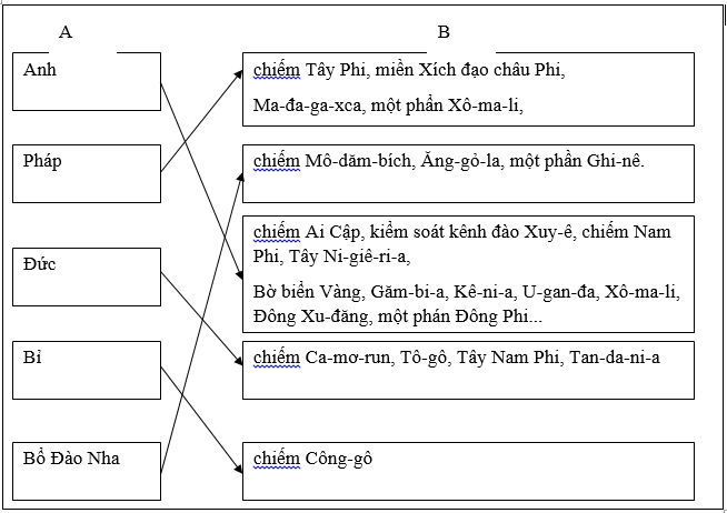Giải bài tập SBT Lịch sử lớp 11 bài 5: Châu Phi và khu vực Mĩ Latinh (Thế kỉ XIX - đầu thế kỉ XX)