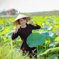 Giáo án Tin học 7 bài 4: Sử dụng các hàm để tính toán