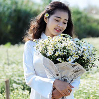 Giáo án Tin học 7: Bài thực hành 5: Chỉnh sửa trang tính của em