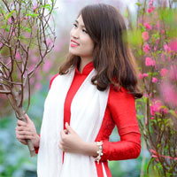 Soạn văn bài: Diễn đạt trong văn nghị luận