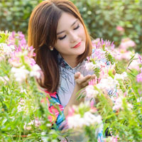 Soạn văn bài: Hồn Trương Ba, da hàng thịt