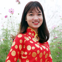 Soạn văn bài: Tổng kết phần tiếng Việt - Lịch sử, đặc điểm loại hình và các phong cách ngôn ngữ