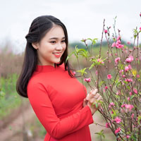 Giáo án Tin học 7 bài 6: Định dạng bảng tính (Tiếp theo)