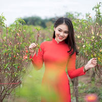 Giáo án Tin học 7: Thực hành tổng hợp (Tiếp)