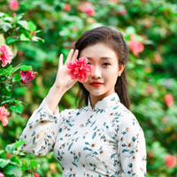 Giáo án Tin học 7: Thực hành tổng hợp (Tiếp theo)