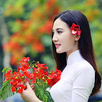 Giáo án Tin học 7: Ôn tập (Lý thuyết)