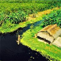 Tiểu sử cuộc đời và sự nghiệp sáng tác của nhà văn Đoàn Giỏi