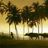 Tiểu sử cuộc đời và sự nghiệp sáng tác của nhà văn Phạm Duy Tốn