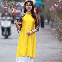 Soạn văn bài: Dọn về làng