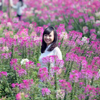 Giáo án Tin học 7 bài 8: Sắp xếp và lọc dữ liệu (Tiếp theo)