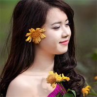 Soạn văn 12 bài: Ôn tập phần văn học (học kì 1)