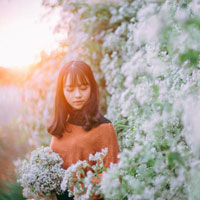 Giáo án Tin học 7: Học toán với Toolkit Math (Tiết 2)