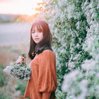 Giáo án Tin học 7: Học toán với Toolkit Math (Tiết 3)