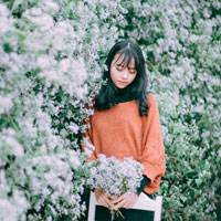 Giáo án Tin học 7: Bài kiểm tra 1 tiết (Số 3)