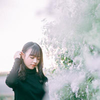 Đáp án câu hỏi Cuộc thi "Tìm hiểu pháp luật trực tuyến" năm 2017 lần thứ hai