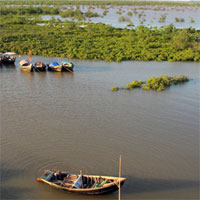 Đề thi học kì 1 môn Ngữ văn lớp 12 Sở GD&ĐT Thái Bình