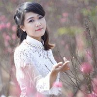 Đề thi học kỳ 1 môn Toán lớp 12 năm học 2017 - 2018, trường THPT chuyên Đại học Vinh