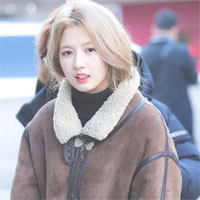 Giáo án Tiếng Anh lớp 6 Unit 4: Big or small - Lesson 4