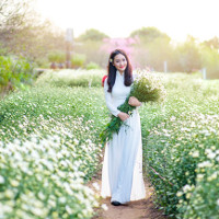 Đề thi Olympic môn Tiếng Anh lớp 11 Sở GD&ĐT Thái Bình năm học 2016 - 2017 có đáp án