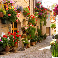 Tiểu sử cuộc đời và sự nghiệp sáng tác của nhà thơ Robert Burns