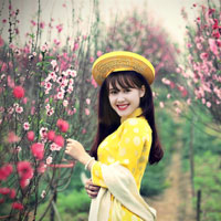 Giáo án Tin học 7: Bài thực hành 10: Thực hành tổng hợp (Tiết 2)