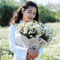 Giáo án Tin học 7: Bài thực hành 9: Tạo biểu đồ minh họa