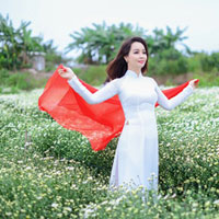 Giáo án Tin học 7: Bài kiểm tra 1 tiết (Số 4)