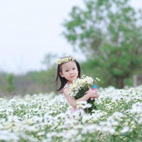 Giáo án Tin học 7: Ôn tập học kì 2 (Tiếp theo)