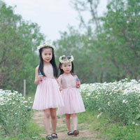 Giáo án Tin học 8 bài 1: Máy tính và chương trình máy tính