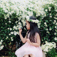 Giáo án Tin học 8 bài 2: Làm quen với chương trình và ngôn ngữ lập trình