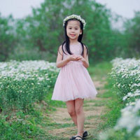 Giáo án Tin học 8 bài 2: Làm quen với chương trình và ngôn ngữ lập trình (Tiếp theo)