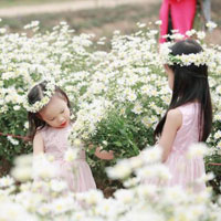 Giáo án Tin học 8 bài 3: Chương trình máy tính và dữ liệu (Tiếp theo)