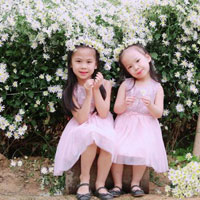 Giáo án Tin học 8: Bài tập