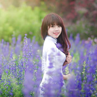 Giáo án Tin học 8: Bài thực hành 3: Khai báo và sử dụng biến (Tiếp theo)