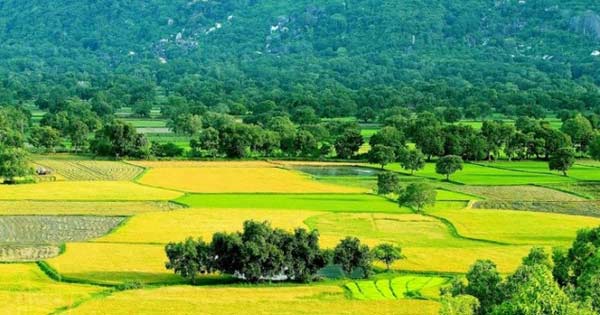 Kể về sự đổi mới quê hương em