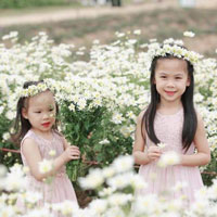 Câu hỏi và đáp án dự thi ngoại khóa "Tiết kiệm điện"