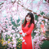 Đề thi tuyển sinh vào lớp 10 môn tiếng Anh trường THPT Chuyên Sở GD&ĐT Hải Phòng năm học 2017-2018 có đáp án