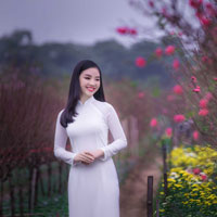 Giáo án Tin học 8: Bài thực hành 4: Sử dụng lệnh điều khiển if ... then