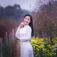 Giáo án Tin học 8: Bài thực hành 4: Sử dụng lệnh điều khiển if ... then (Tiếp theo)